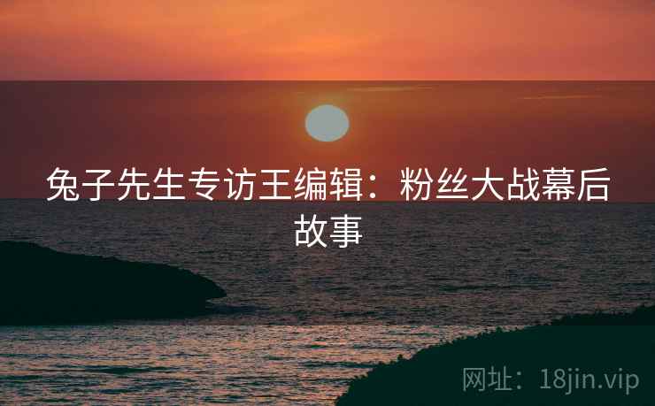 兔子先生专访王编辑：粉丝大战幕后故事